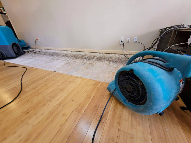 Professional Basement Flood Cleanup technician working in Waterford, MS